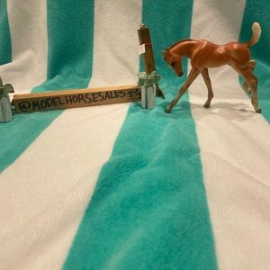 Adorable bucking foal